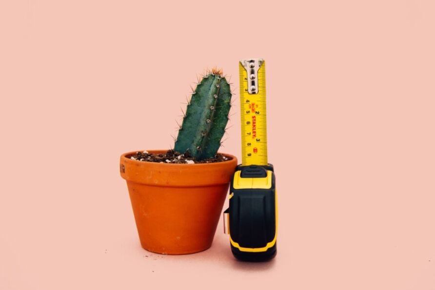The small size of the penis is a significant problem for men